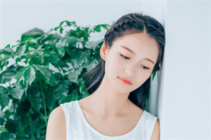 Shanghai's Antiques Market and Collectors' Culture Shanghai's Antiques Market and Collectors' Culture